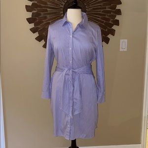 Ann Taylor Striped Cinch-Waist Poplin Shirtdress